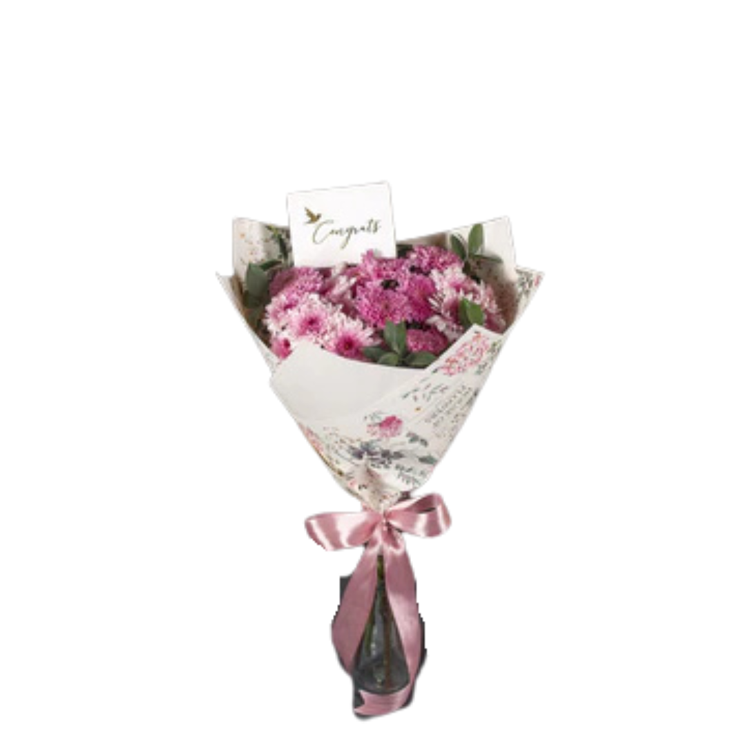 Pink Velvet Chrysanthemum Bouquet | Congrats Floral Gift