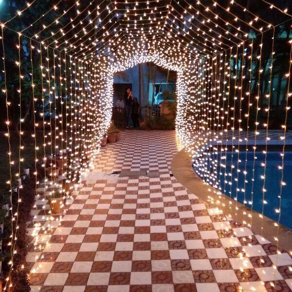 Magical Tunnel of Lights for Walkways & Events