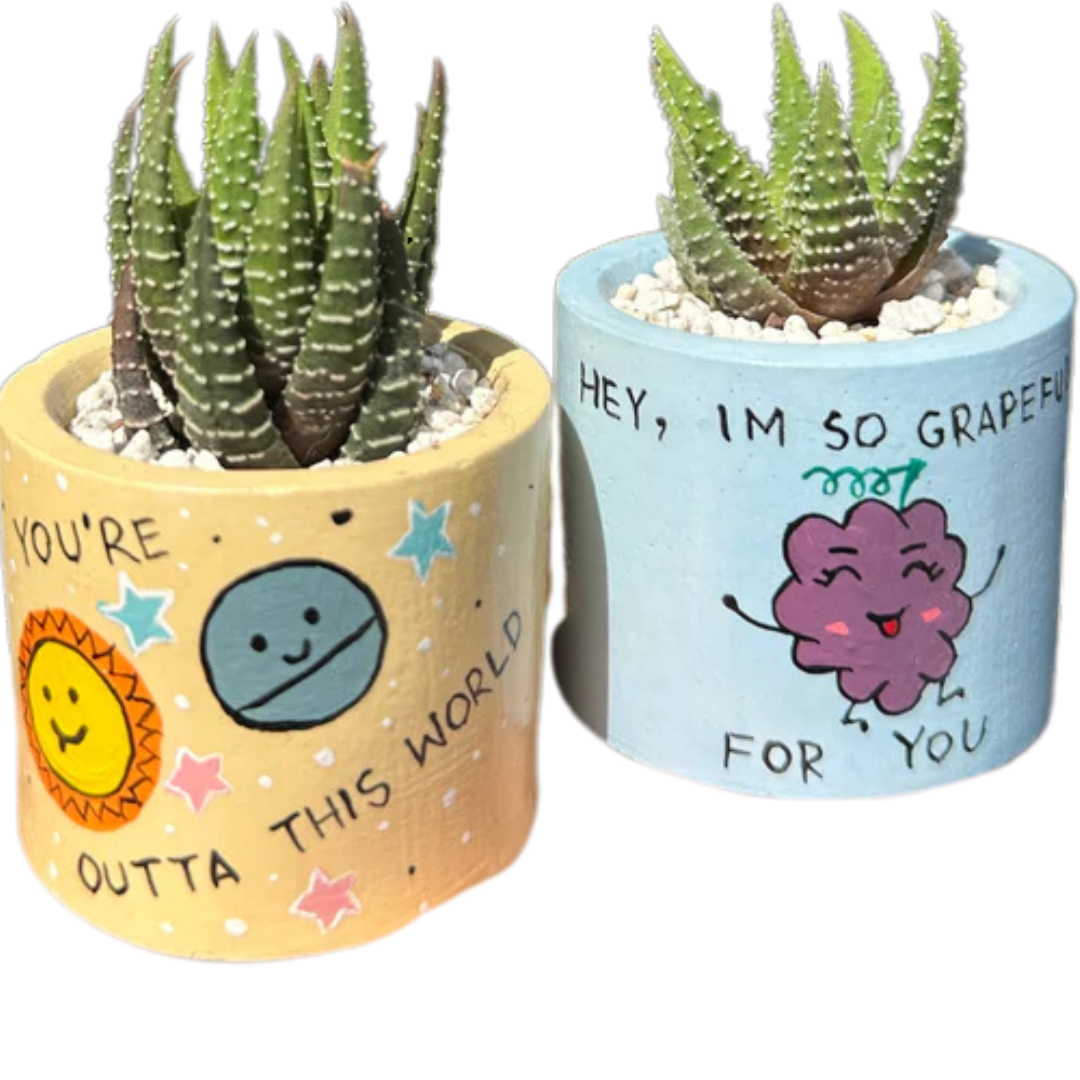 Painted Planters (Indoor Plants)