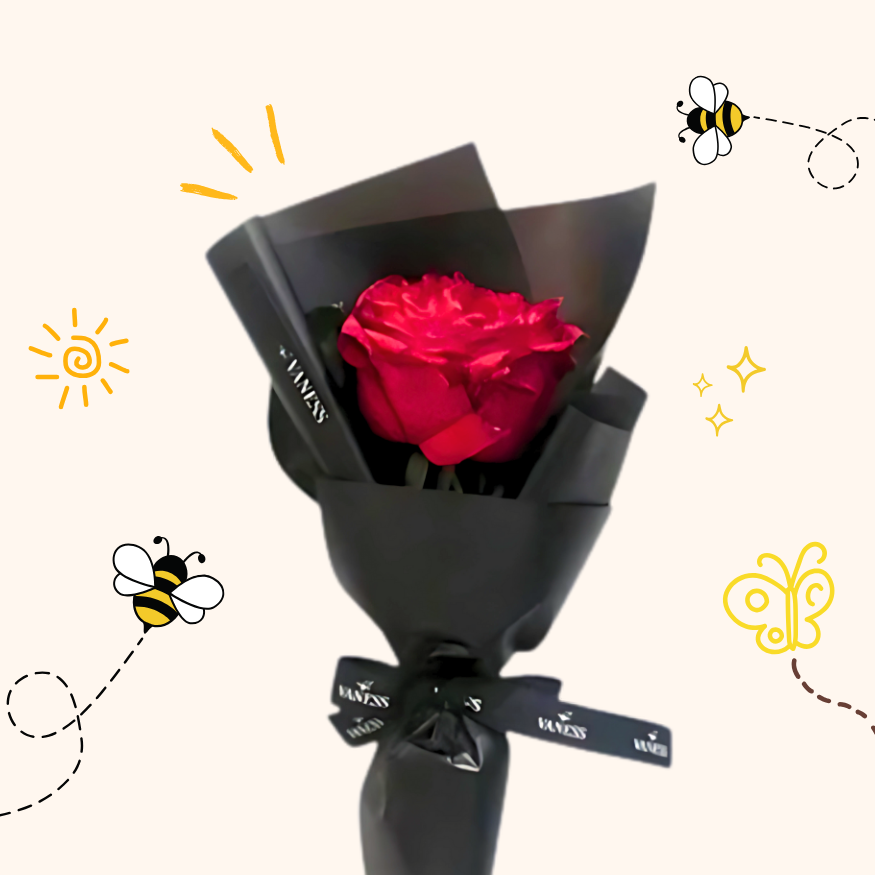Eternal Elegance Single Red Rose Box