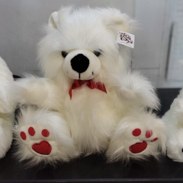 Beautiful Hairy Teddy Bear